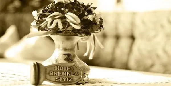 Brennerspitz ノイシュティフト・イム・シュトゥーバイタール